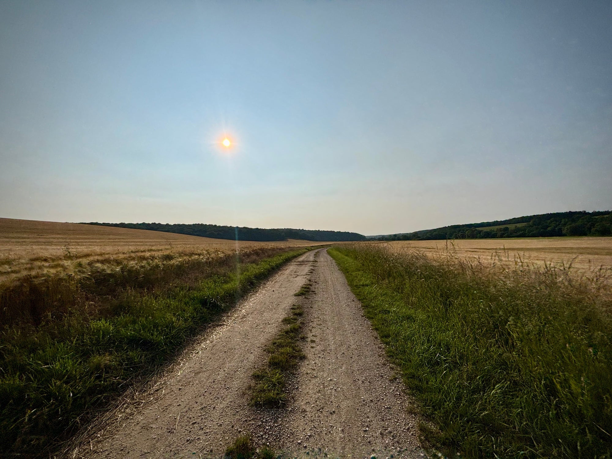 Rediscovering Home: A Two-Day Journey Through the Forêts National Park