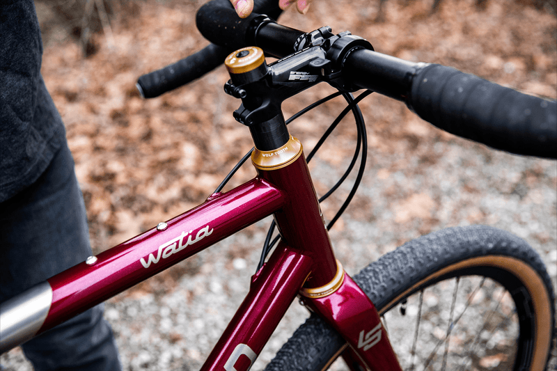 Bespoke Builds: Justin Gagnon's Litespeed Watia - Litespeed Bicycles