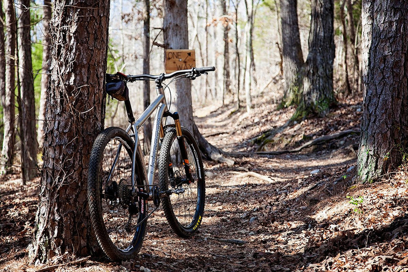 How To Take Care Of Your Mountain Bike - Litespeed Bicycles