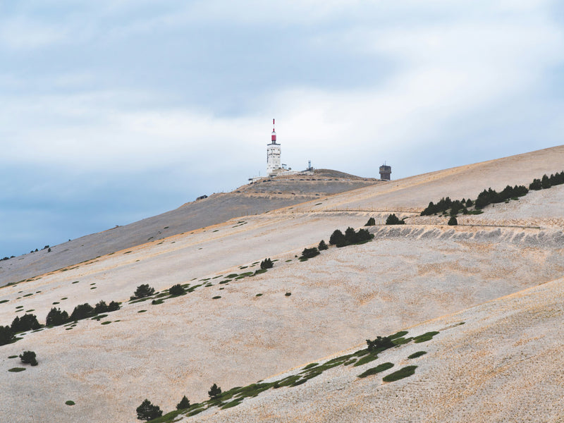 Riding Mont Ventoux After Open-Heart Surgery & Guillain-Barré Syndrome - Litespeed Bicycles