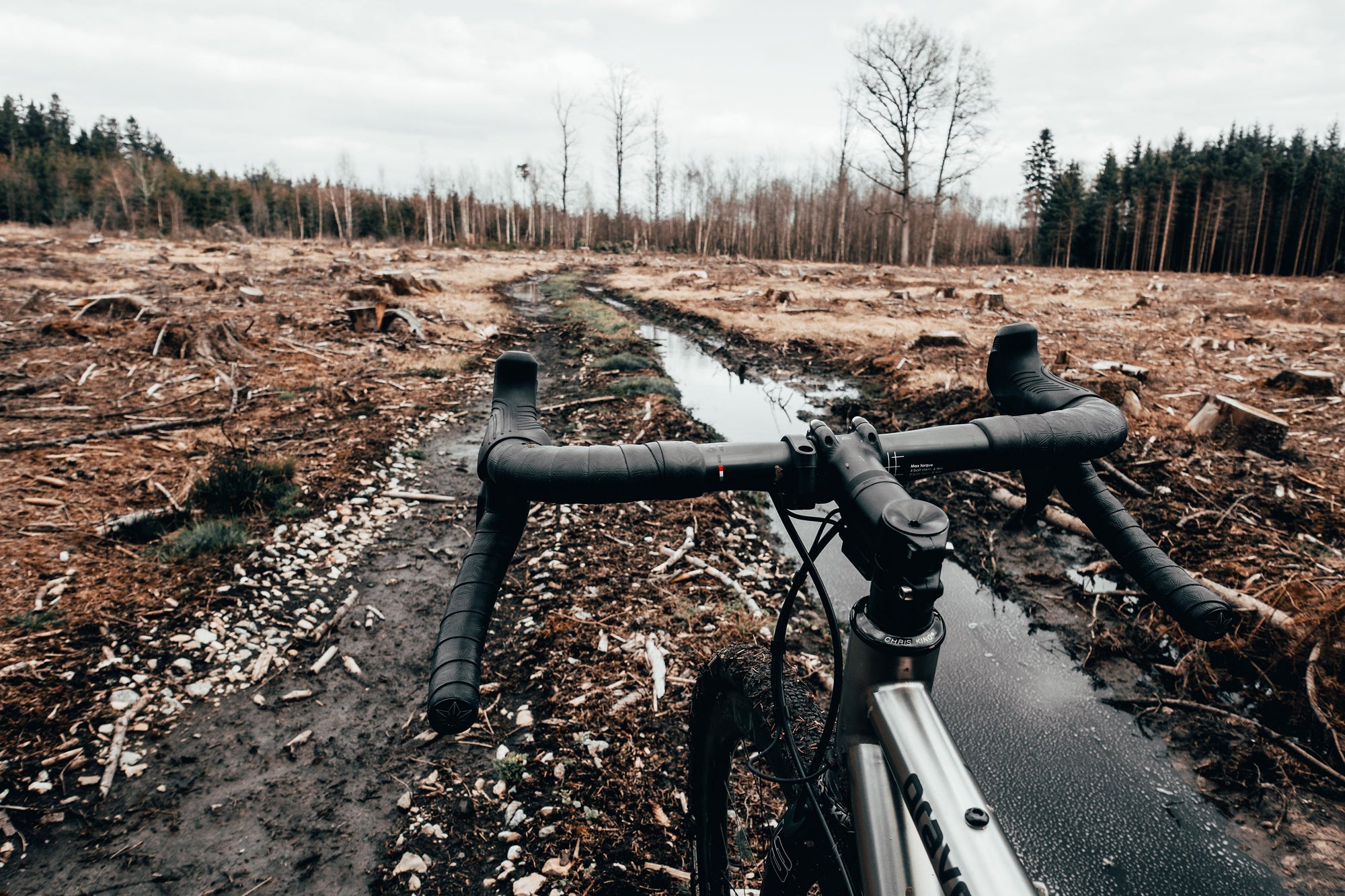 Staying Fit During Lockdown - Litespeed Bicycles