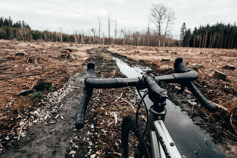 Staying Fit During Lockdown - Litespeed Bicycles