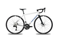 Titanium Arenberg FI - Litespeed Bicycles