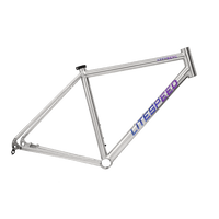 Titanium Arenberg FI Frame - Litespeed Bicycles