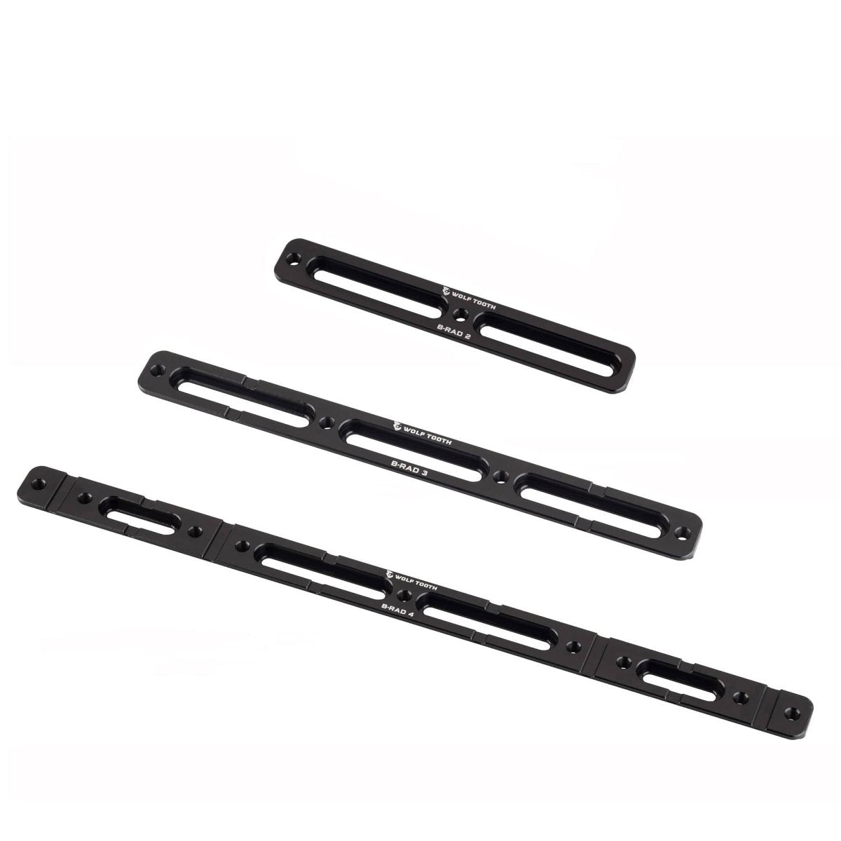 Titanium B - RAD Mounting Bases - Litespeed Bicycles