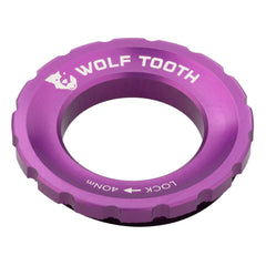 Titanium Centerlock Rotor Lockring – External Spline - Litespeed Bicycles