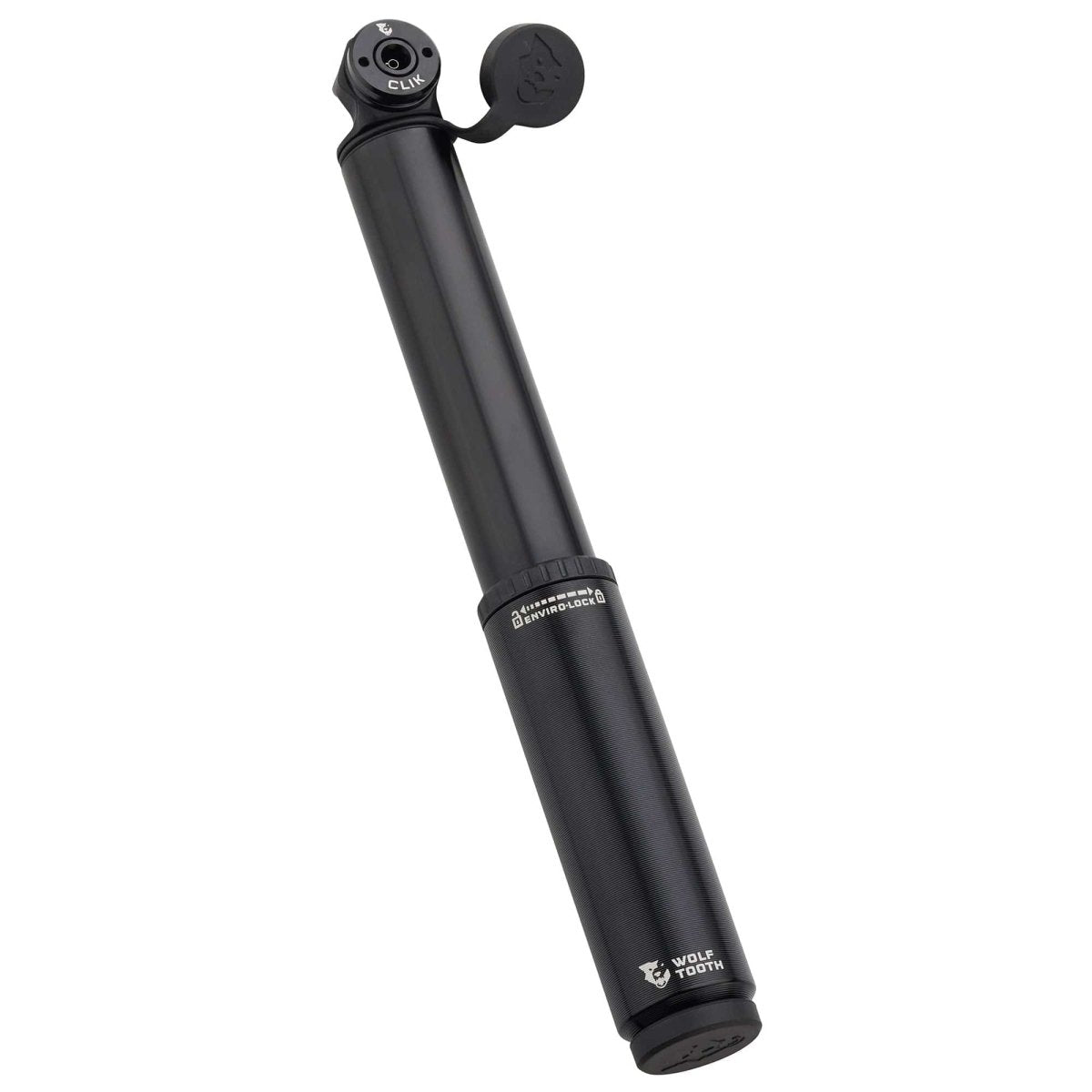 Titanium EnCase Pump for Clik Valve - Litespeed Bicycles