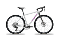 Titanium Flint FI - Litespeed Bicycles