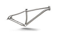 Titanium Pinhoti III Frame - Litespeed Bicycles