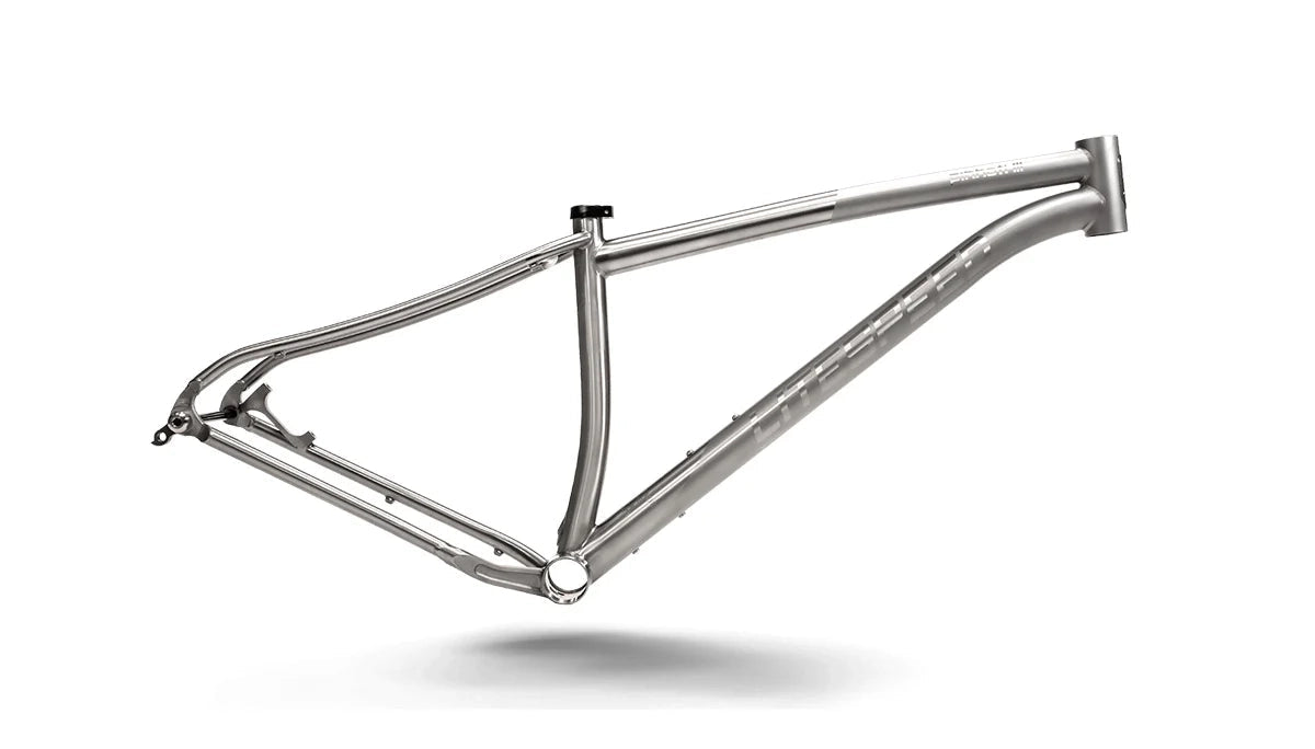 Titanium Pinhoti III Frame - Litespeed Bicycles