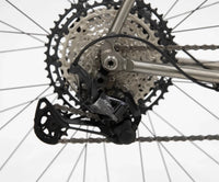 Titanium Pinhoti III XT | Size SM - Litespeed Bicycles
