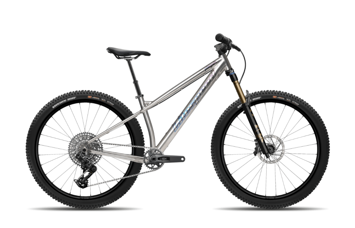 Titanium Pisgah - Litespeed Bicycles