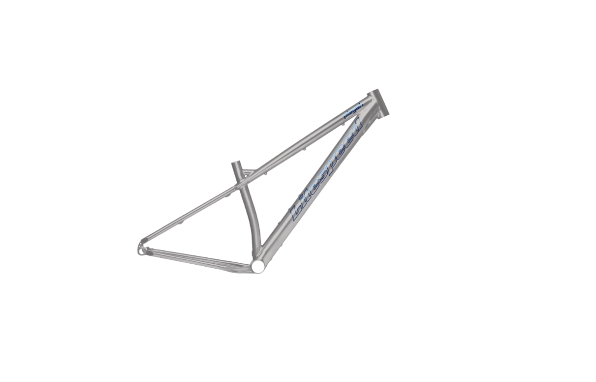 Titanium Pisgah Frameset - Litespeed Bicycles