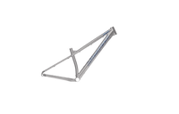 Titanium Pisgah Frameset - Litespeed Bicycles