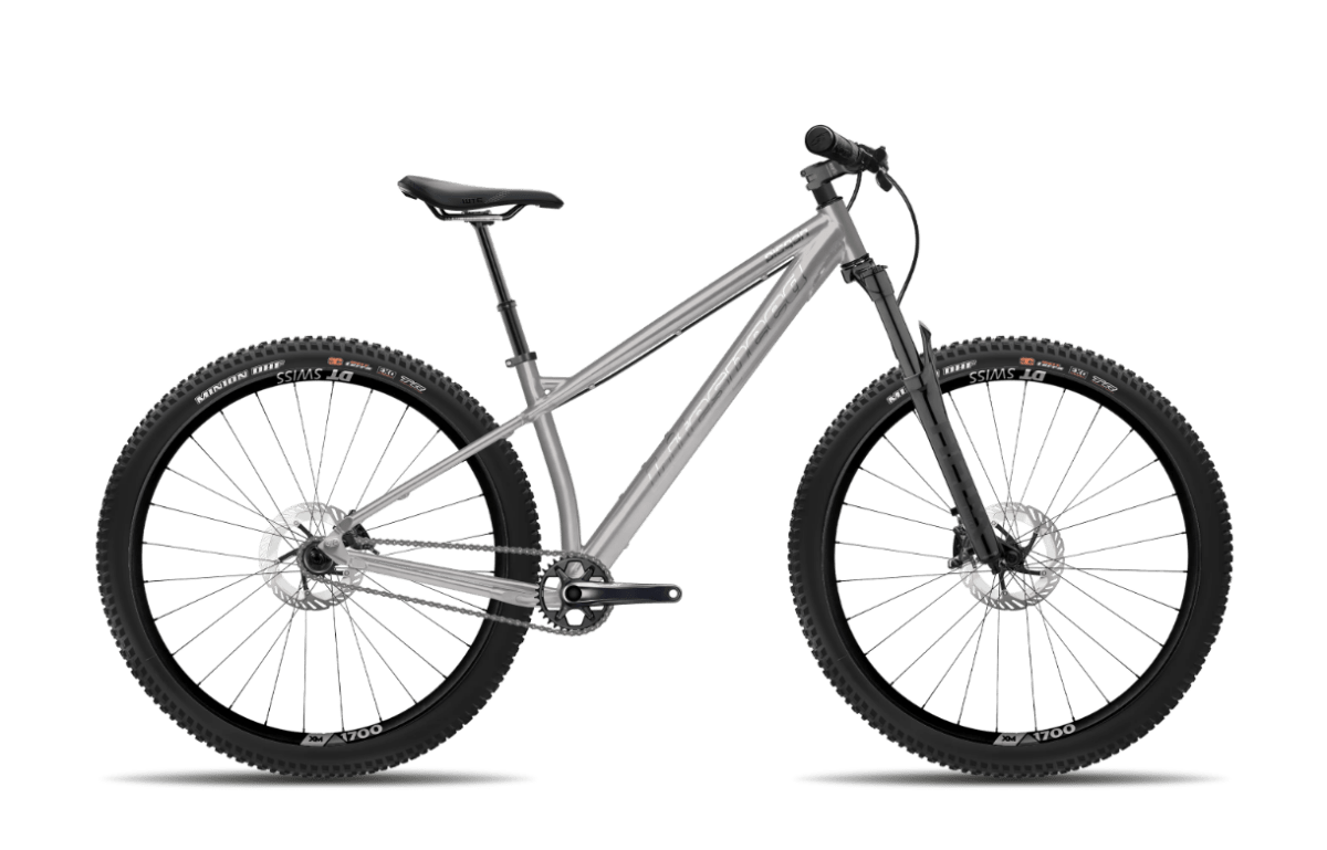 Titanium Pisgah Single Speed - Litespeed Bicycles