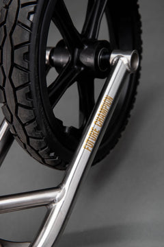 Titanium Rumpus - Litespeed Bicycles