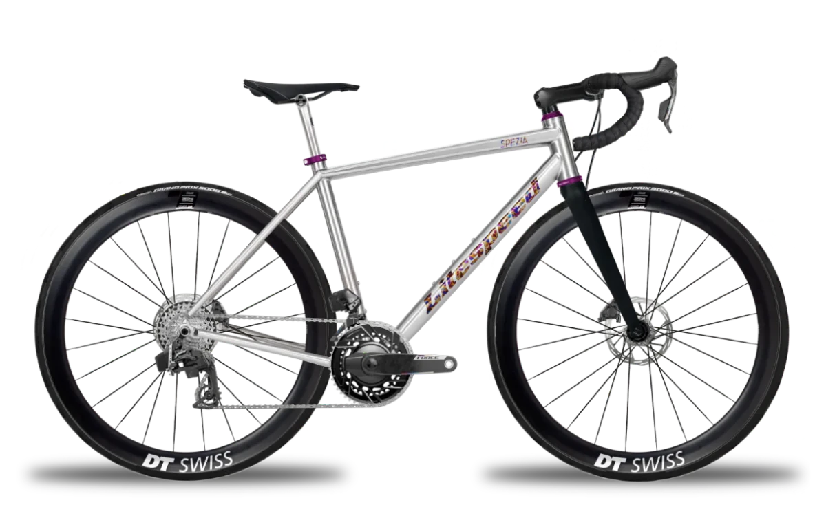 Titanium Spezia - Litespeed Bicycles