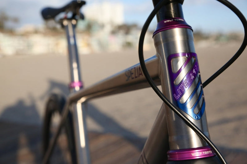 Titanium Spezia - Litespeed Bicycles