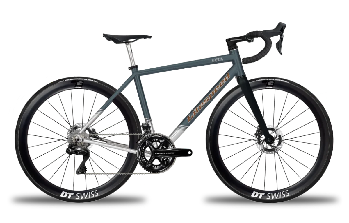 Titanium Spezia FI - Litespeed Bicycles