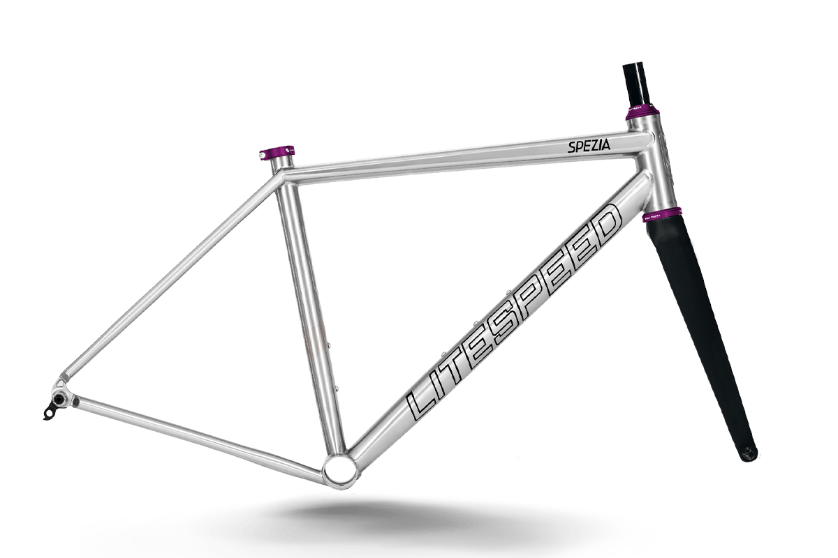 Titanium Spezia Frame - Litespeed Bicycles