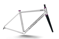 Titanium Spezia Frame - Litespeed Bicycles