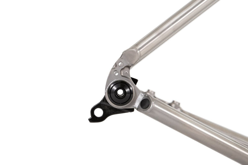 Titanium Toscano FI - Litespeed Bicycles