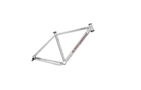 Titanium Toscano FI Frame - Litespeed Bicycles