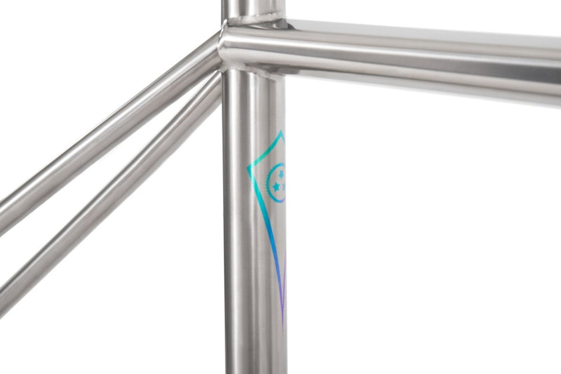 Titanium Toscano FI Frame - Litespeed Bicycles