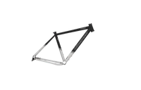 Titanium Toscano Frame - Litespeed Bicycles
