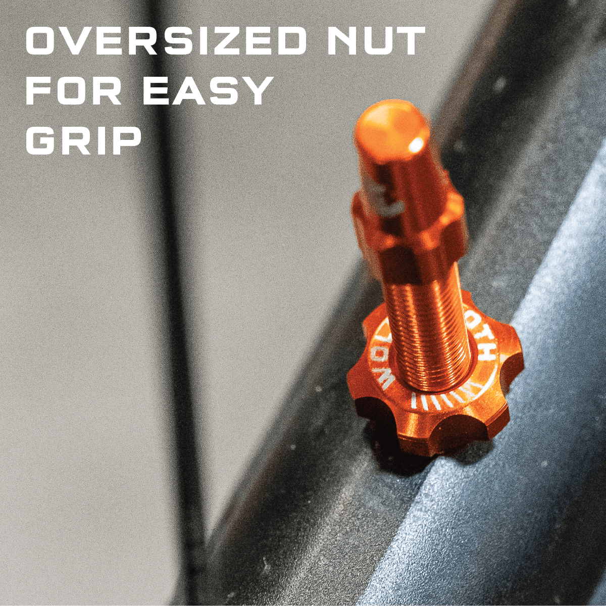 Titanium Tubeless Presta Valve Stem Kit - Litespeed Bicycles