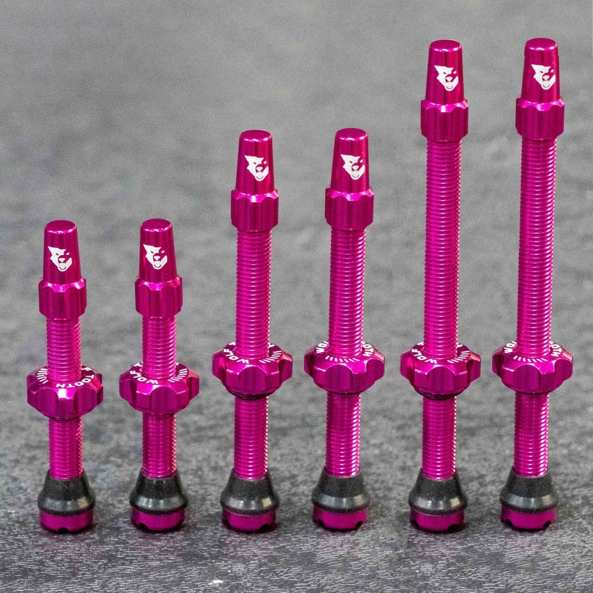 Titanium Tubeless Presta Valve Stem Kit - Litespeed Bicycles