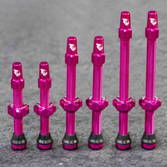Titanium Tubeless Presta Valve Stem Kit - Litespeed Bicycles