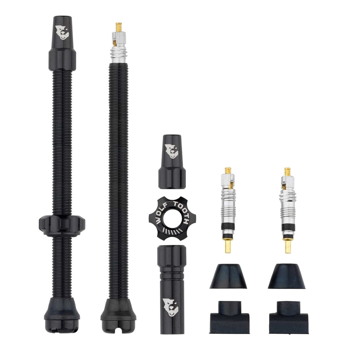 Titanium Tubeless Presta Valve Stem Kit - Litespeed Bicycles
