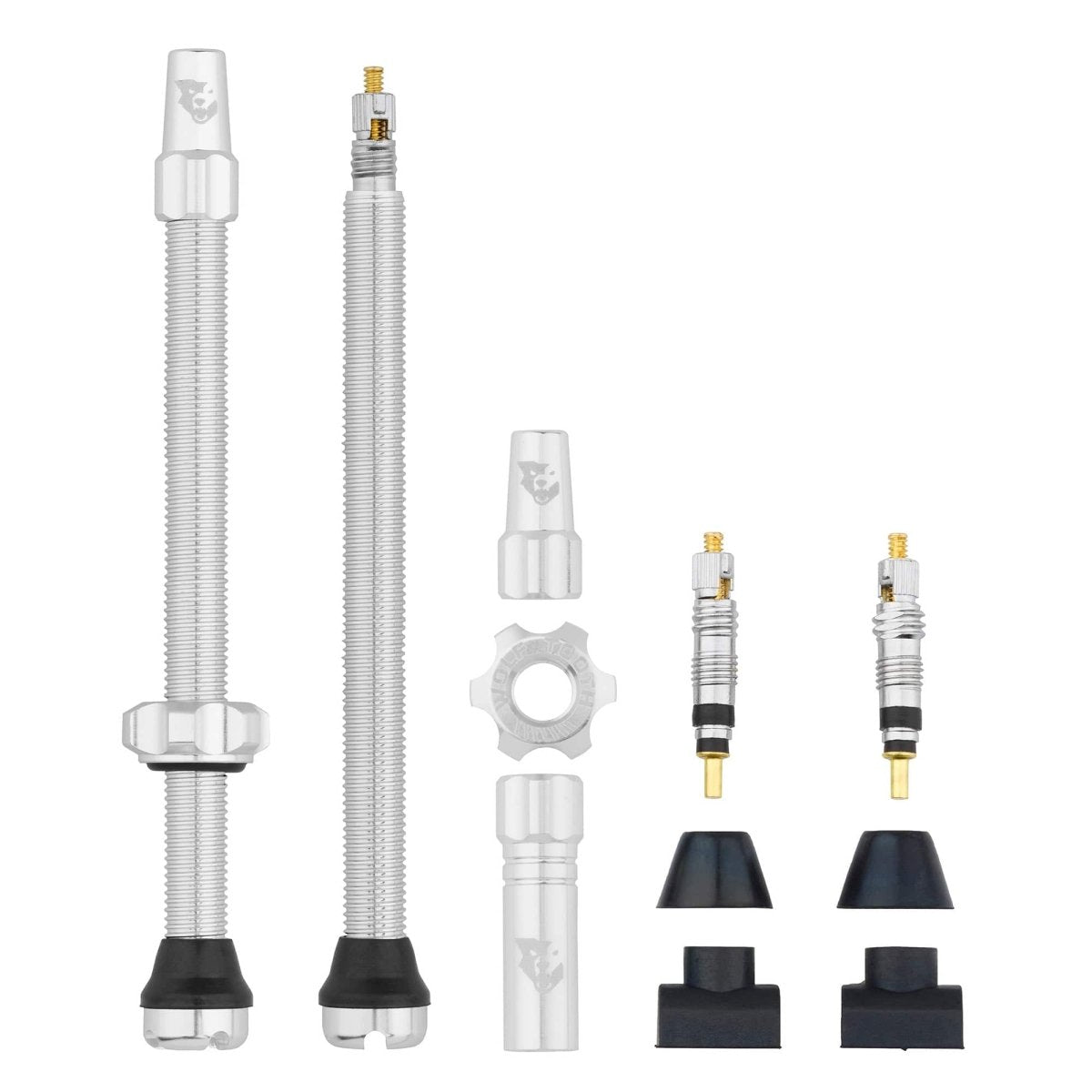 Titanium Tubeless Presta Valve Stem Kit - Litespeed Bicycles