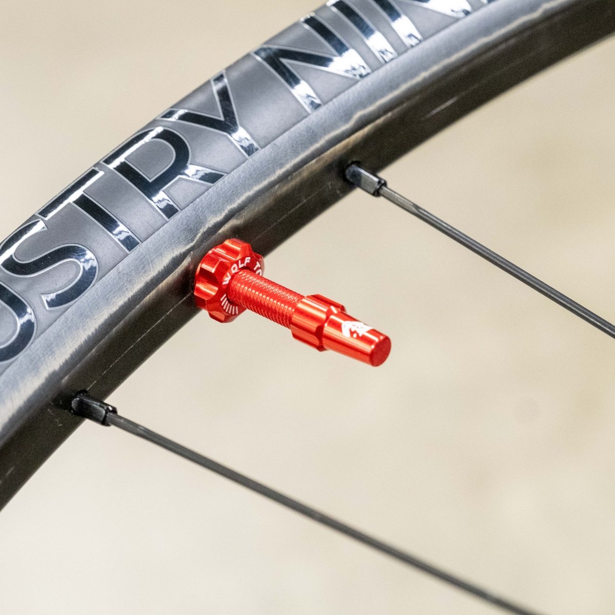 Titanium Tubeless Presta Valve Stem Kit - Litespeed Bicycles