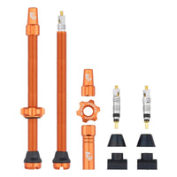 Titanium Tubeless Presta Valve Stem Kit - Litespeed Bicycles