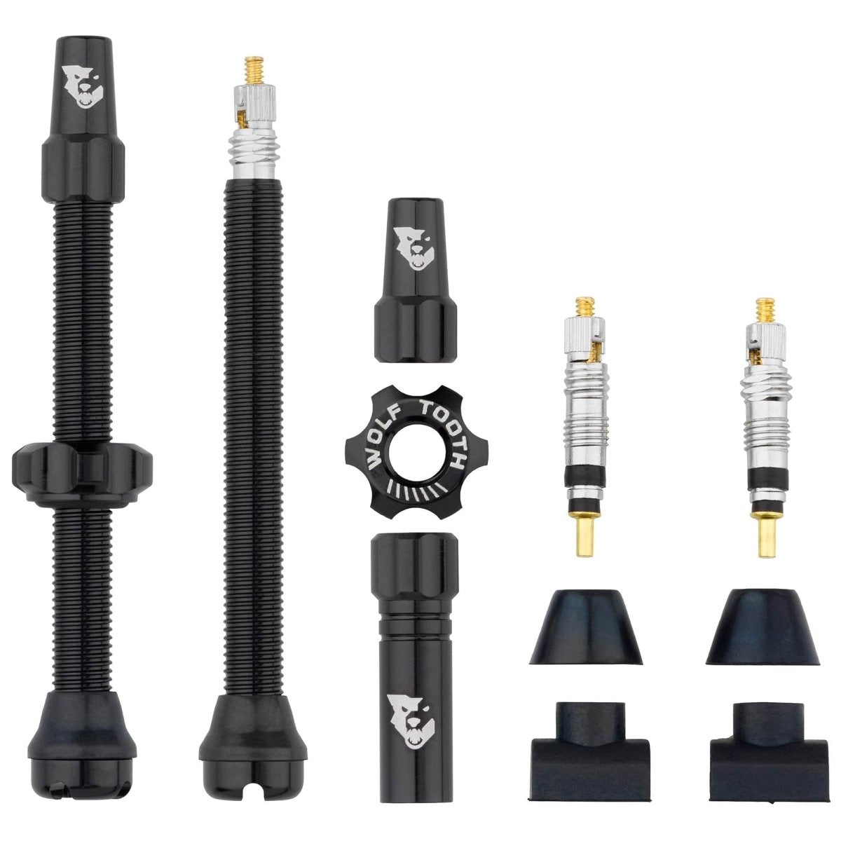 Titanium Tubeless Presta Valve Stem Kit - Litespeed Bicycles