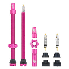 Titanium Tubeless Presta Valve Stem Kit - Litespeed Bicycles