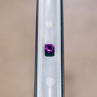 Titanium Tubeless Presta Valve Stem Kit - Litespeed Bicycles
