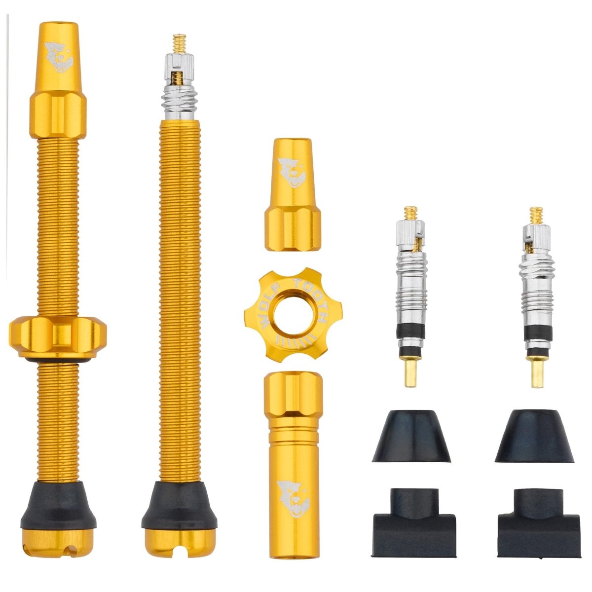 Titanium Tubeless Presta Valve Stem Kit - Litespeed Bicycles
