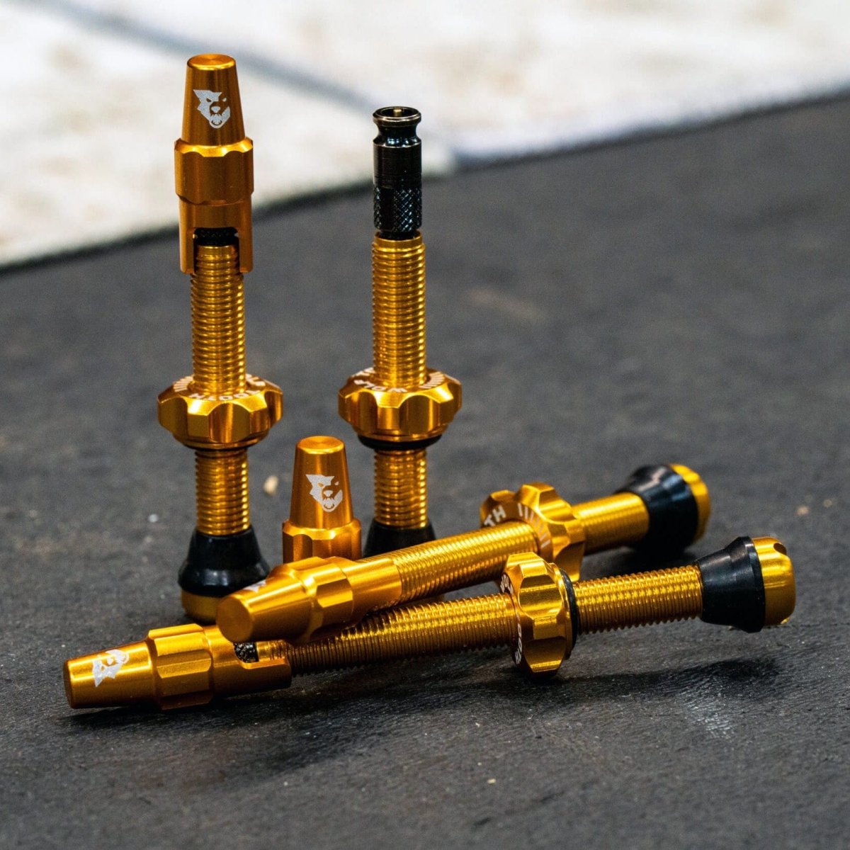 Titanium Tubeless Valve Stem Kit for Clik Valve - Litespeed Bicycles