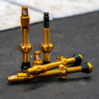 Titanium Tubeless Valve Stem Kit for Clik Valve - Litespeed Bicycles