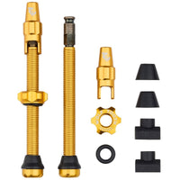 Titanium Tubeless Valve Stem Kit for Clik Valve - Litespeed Bicycles
