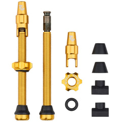 Titanium Tubeless Valve Stem Kit for Clik Valve - Litespeed Bicycles