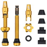 Titanium Tubeless Valve Stem Kit for Clik Valve - Litespeed Bicycles