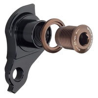Titanium Universal Derailleur Hanger - UDH - Litespeed Bicycles