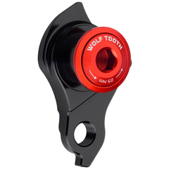 Titanium Universal Derailleur Hanger - UDH - Litespeed Bicycles