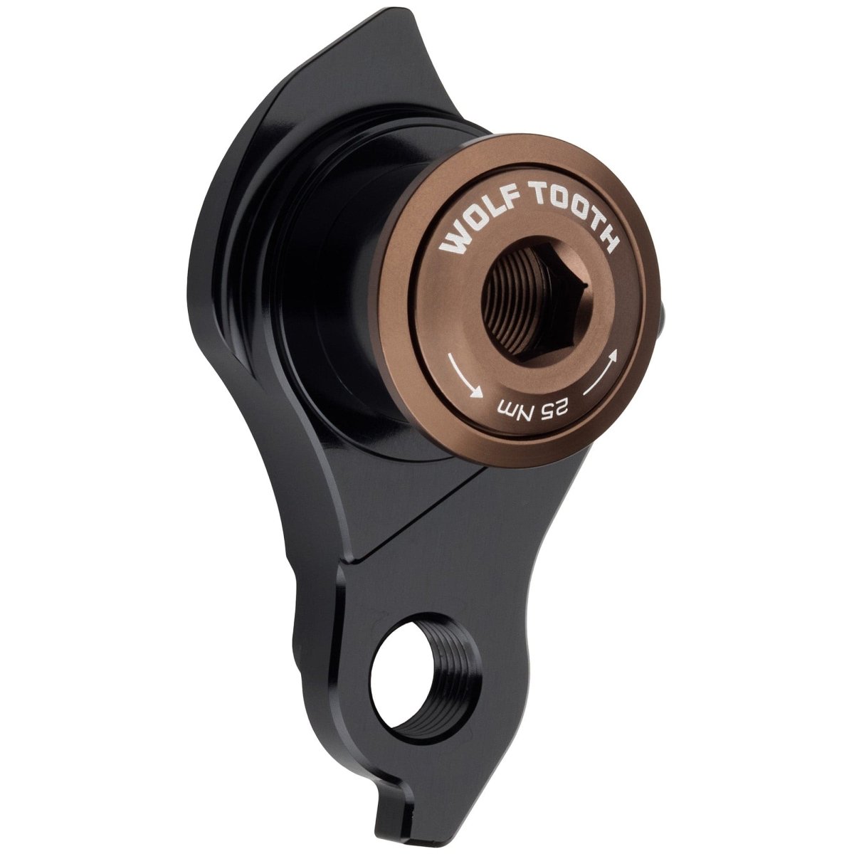 Titanium Universal Derailleur Hanger - UDH - Litespeed Bicycles