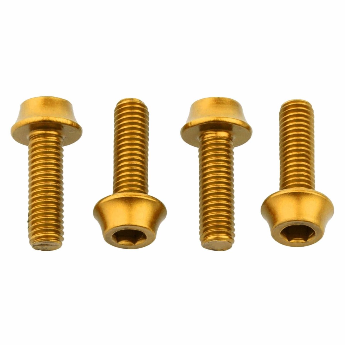 Titanium Water Bottle Cage Bolts - Litespeed Bicycles