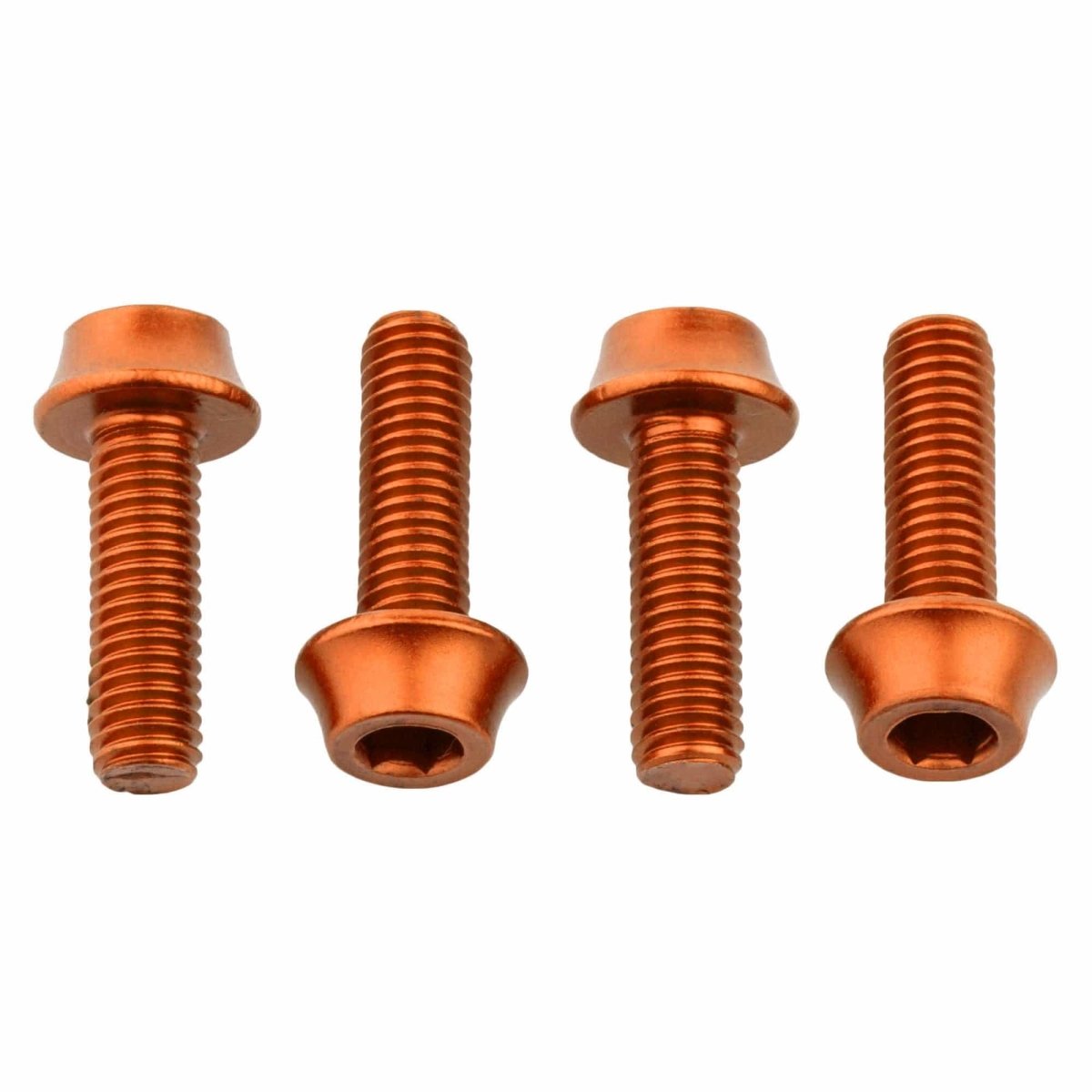 Titanium Water Bottle Cage Bolts - Litespeed Bicycles